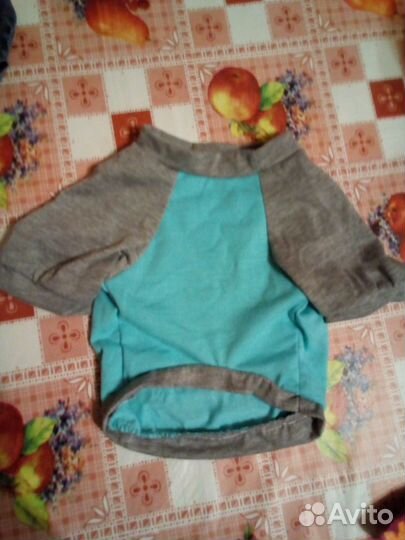 Одежда для собак мелких пород