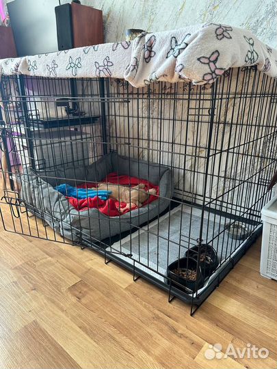 Клетка вольер для собак бу