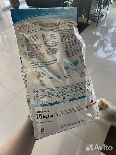 Корм для собак