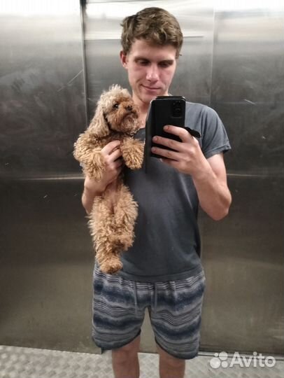 Муж на час сантехник электрик сборка мебели дома