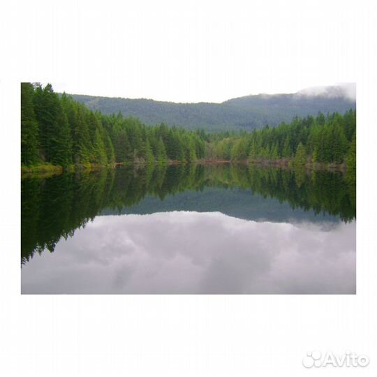 Цифровой фотоаппарат Sony Cyber-shot DSC-S650