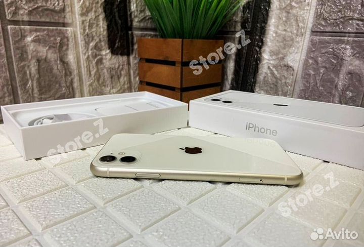 iPhone 11