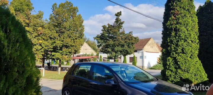 Трансфер. Сербия