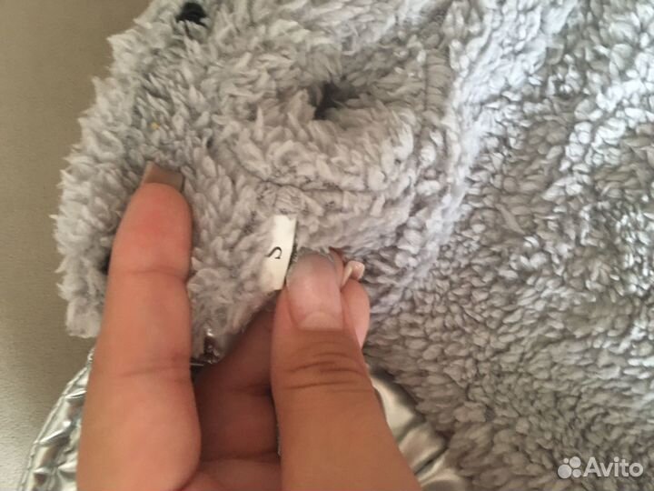 Одежда для собак мелких пород