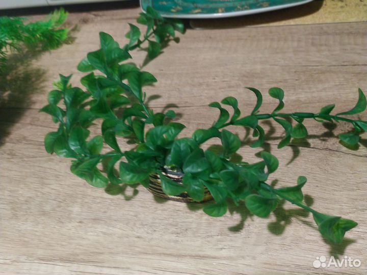 Набор для аквариума