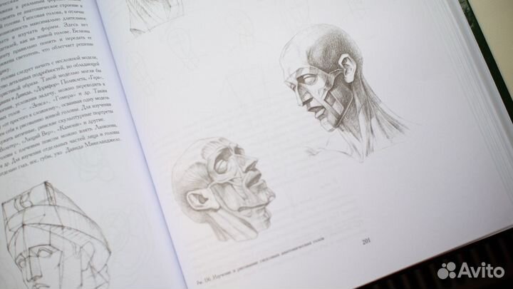 Основы учебного академического рисунка