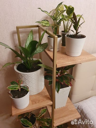 Подставка - стеллаж для цветов