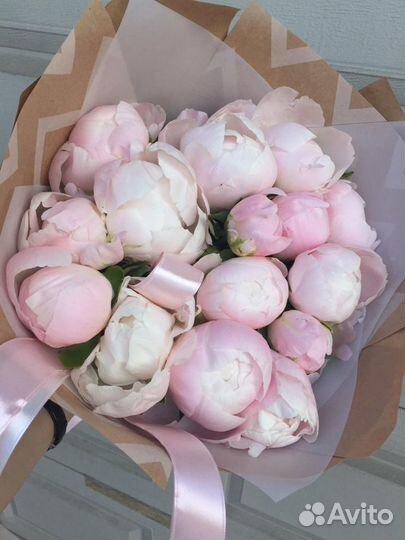 Пионы, букеты и композиции