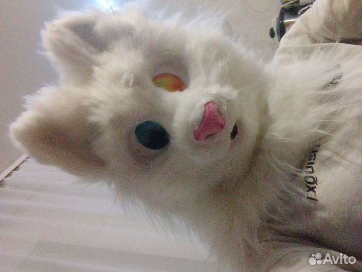 Фурсьют на заказ