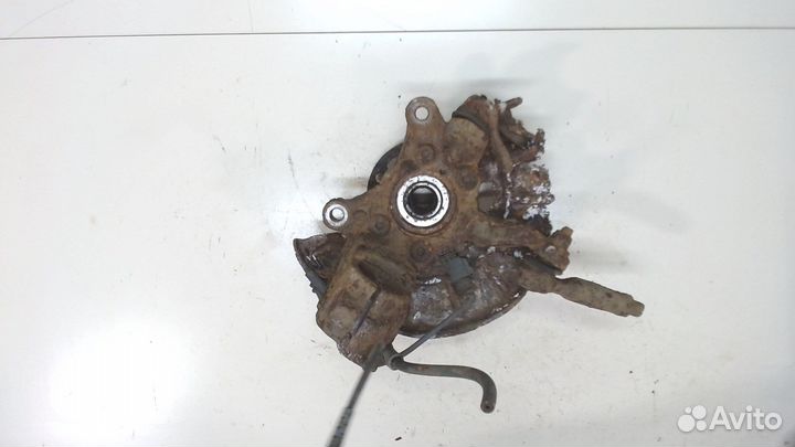 Ступица (кулак, цапфа) Volkswagen Golf Plus, 2009