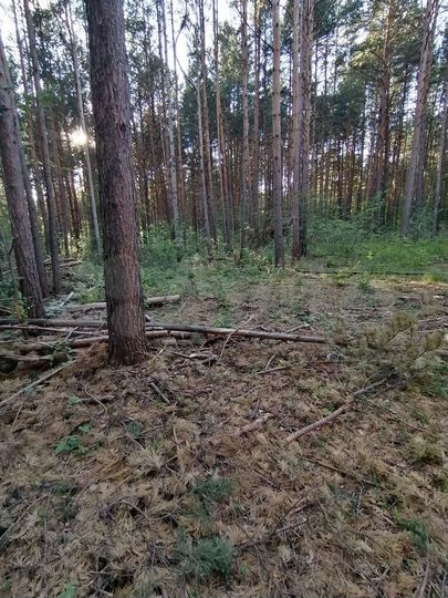 Участок 6,6 сот. (ИЖС)