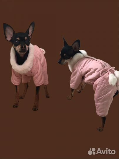 Комбинезон для маленькой собаки зима