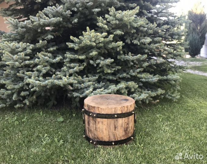 Пень колода