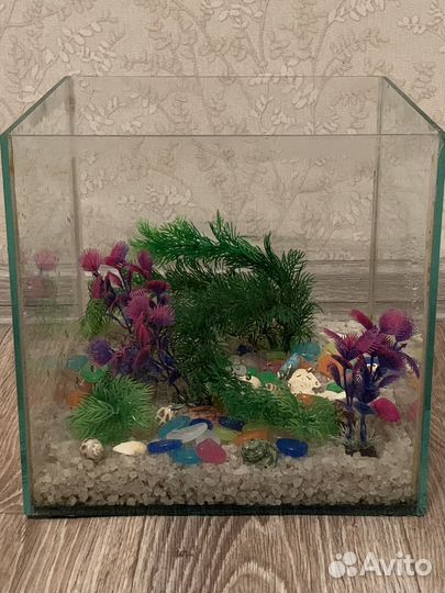 Аквариум