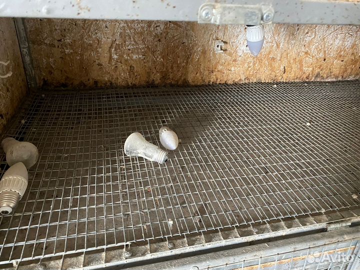 Брудер для цыплят самодельный б/у