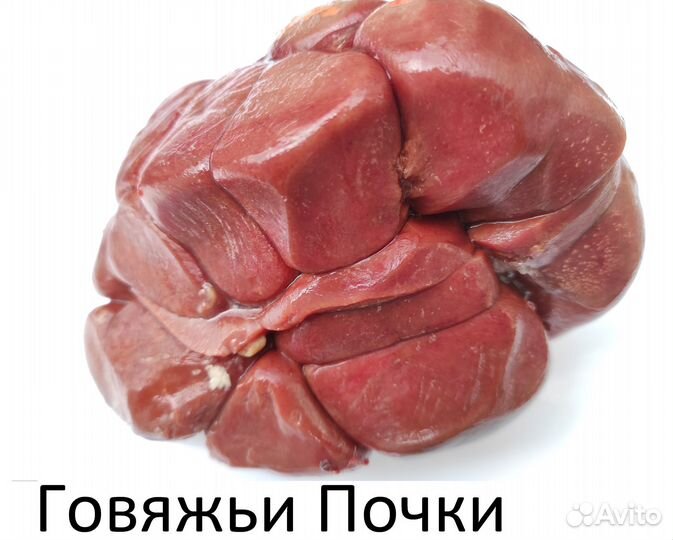 Мясо. Говядина. Почки. Вымя. Ноги. Рубец