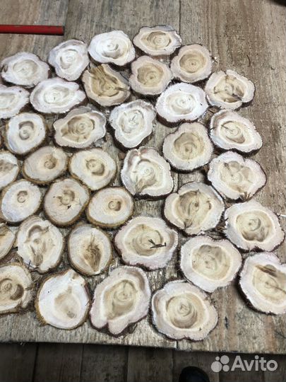 Спилы можжевельника