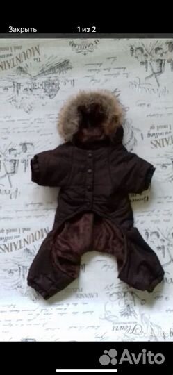 Одежда для собак