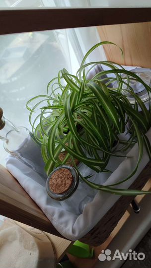 Корзина плетеная