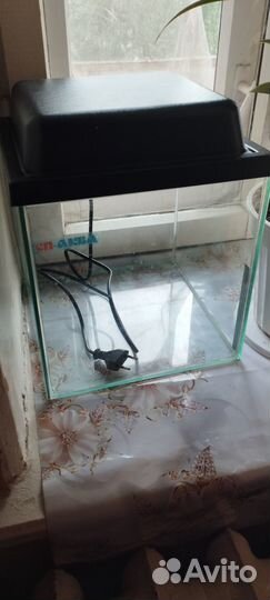 Аквариум