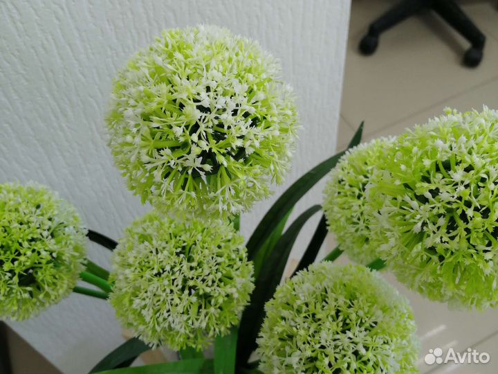 Интерьерные цветы