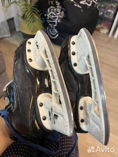 Коньки профессиональные bauer