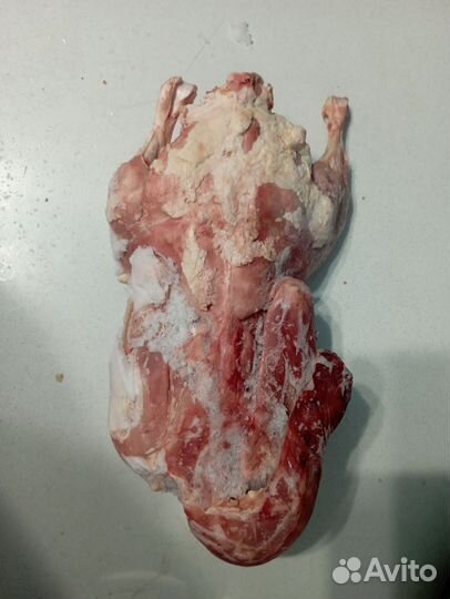 Продам мясо кролика