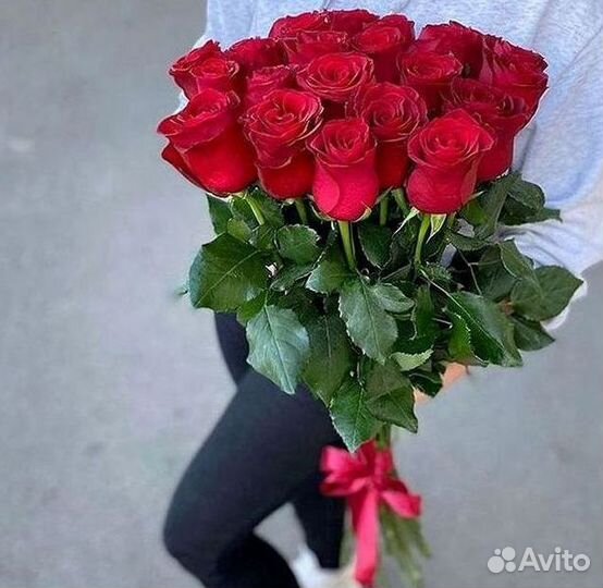 Высокие розы