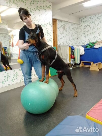 Общение с добрым Доберманом