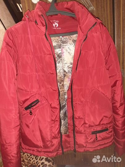 Женская одежда