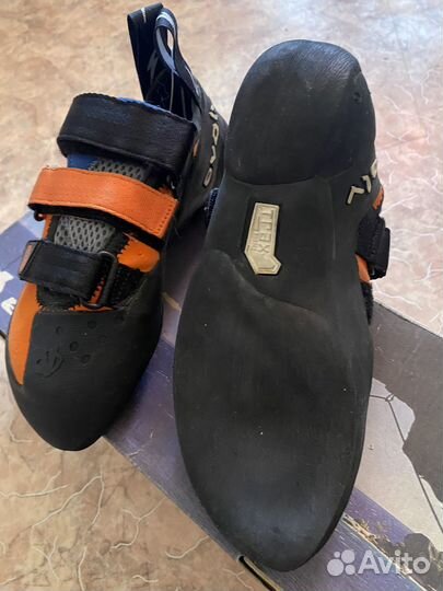 Скальные туфли evolv