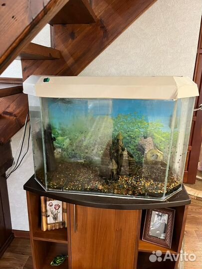 Украшения для аквариума