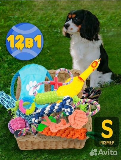 Игрушки для собак
