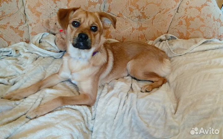 Мелкий паренек очень ласковый