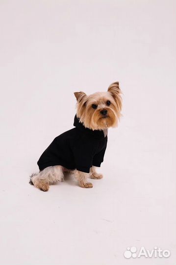 Худи для собак