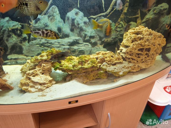 Камни для аквариума, песчаник
