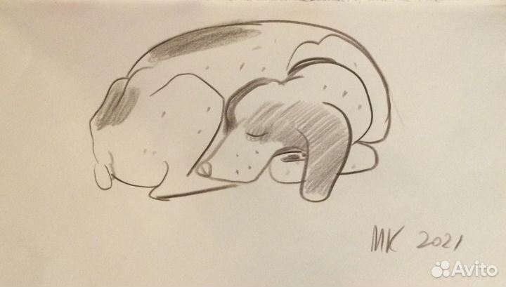 Рисунок собаки