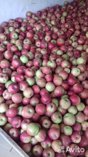 Яблоки алдерид