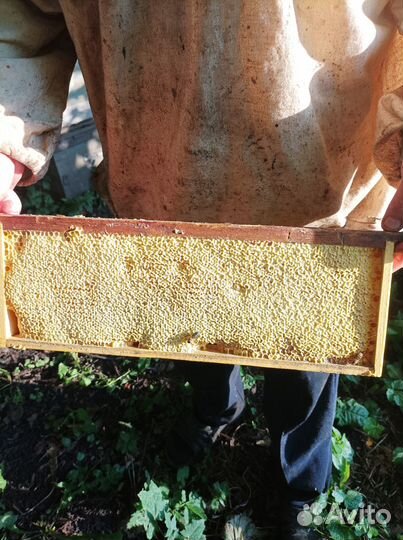 Продажа мёда