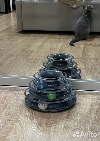 Игрушки для кошек