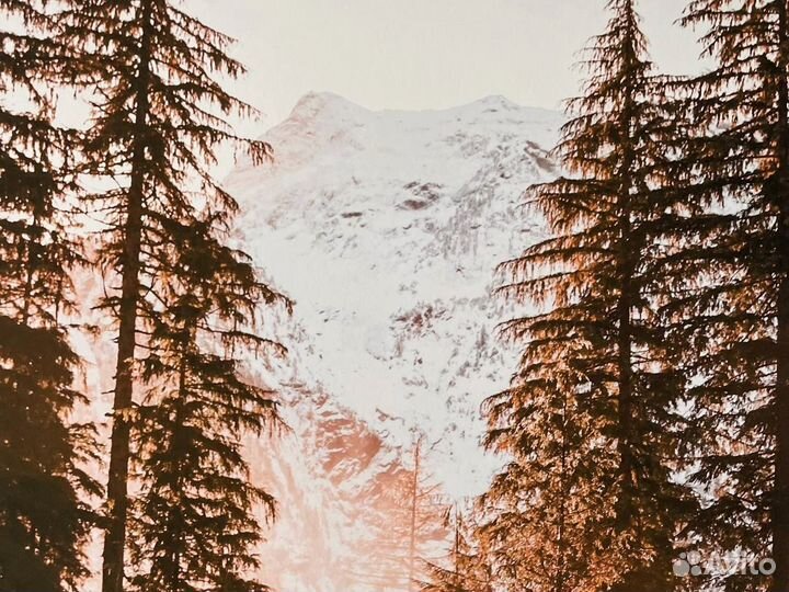 Постер природа 40х50