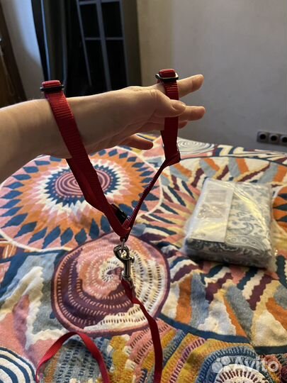 Шлейки для маленькой собаки - 2шт