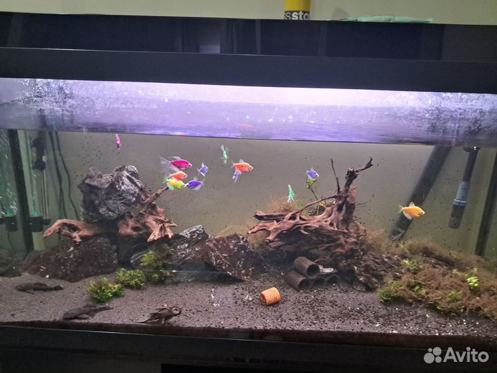Аквариум