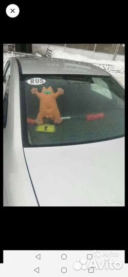 Кот (на присосках)