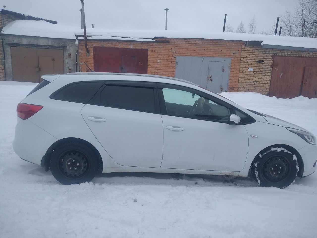 Kia Ceed: фото владельца