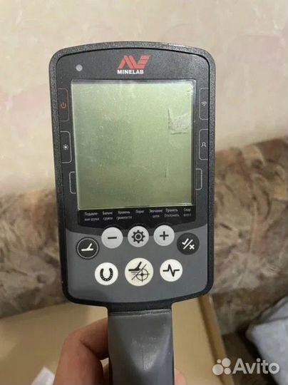 Minelab equinox 800