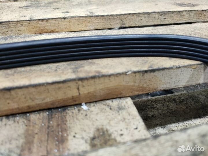 Ремень приводной Bmw 5 E39 M52B28 1998