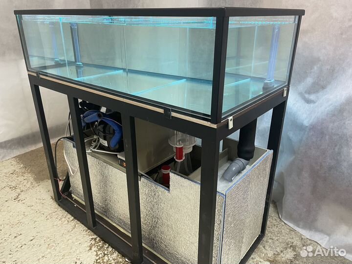 Аквариум для устриц в наличии