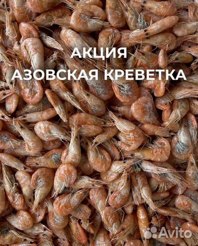 Черноморская (азовская) креветка