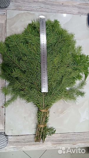 Пихта. Пихтовый веник для бани и банного чана